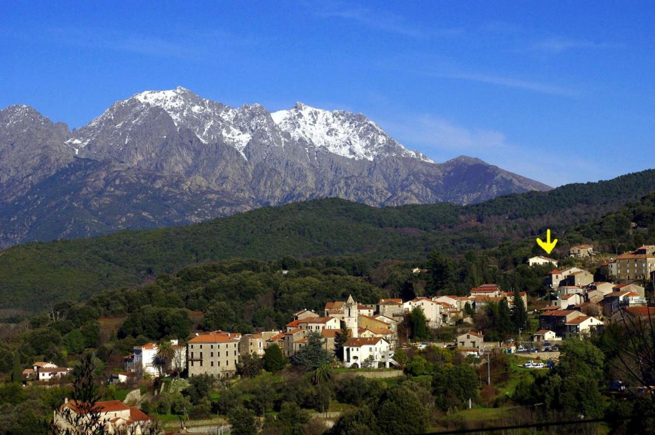 95M2 Au Calme A 25Mn Ajaccio, Plages, Linge Inclus Parking Ok Ucciani Kültér fotó