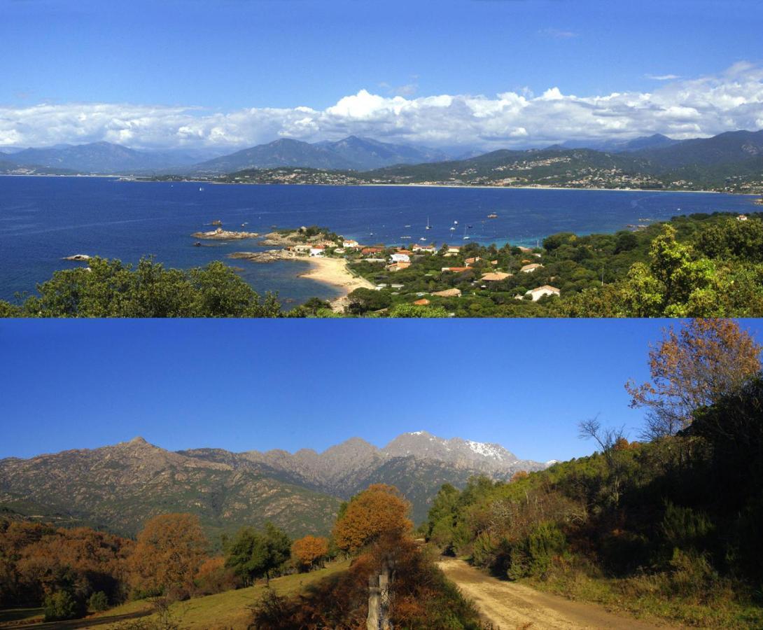 95M2 Au Calme A 25Mn Ajaccio, Plages, Linge Inclus Parking Ok Ucciani Kültér fotó